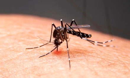 Alerta de amenaza de dengue en EEUU