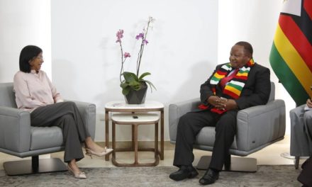 Vicepresidenta Rodríguez afianza cooperación bilateral con canciller de Zimbabue