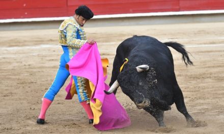 Colombia promulga ley que prohíbe corridas de toros