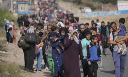 OMS: Hepatitis y otras enfermedades aquejan a los desplazados en Gaza