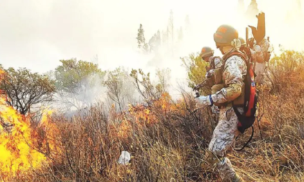 Bolivia enfrenta alerta de incendios forestales