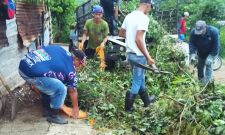 Realizadas labores de mantenimiento urbano en el municipio Revenga