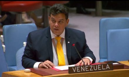 Venezuela exige cese al fuego en Gaza al Consejo de Seguridad de la ONU