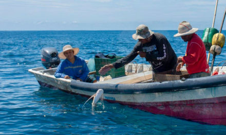 Venezuela y Brasil establecieron proyecto bilateral para impulsar la pesca artesanal