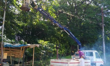 Ejecuta plan de limpieza y poda de árboles en Bolívar  