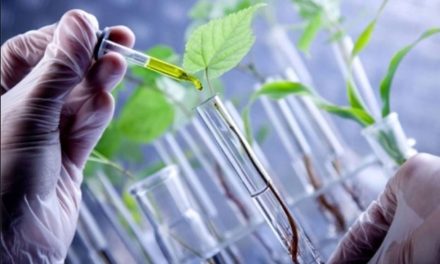 Bolivia avanza en debate sobre empleo de biotecnología agrícola