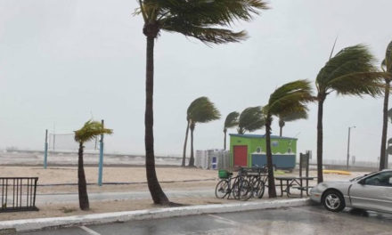 Florida emite alertas de huracán por tormenta tropical Debby