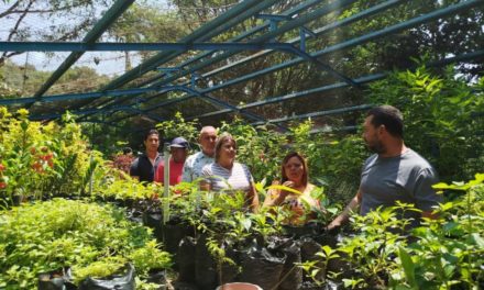 Concejales de Girardot promueven arborización en Maracay