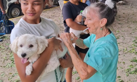 Gatos y perros fueron favorecidos con jornada veterinaria gratuita en Girardot