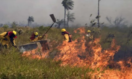 Bomberos venezolanos son reconocidos en Bolivia