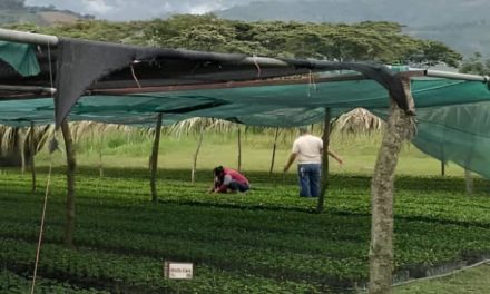 Corporación Venezolana del Café realiza jornada de agronomía en Trujillo