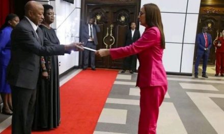 Embajadora venezolana entrega Cartas Credenciales al presidente de Namibia