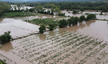 FAO instó a tomar previsiones ante llegada de La Niña en América Latina