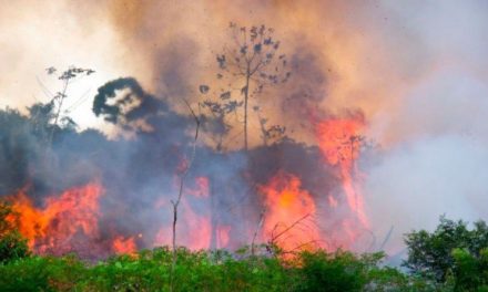 Alerta ante llegada de humo de incendios en Brasil, Bolivia y Paraguay