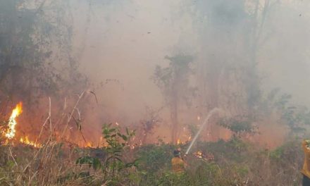 Aumentó intensidad de incendios en Bolivia