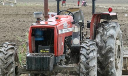 Agricultores aragüeños comenzaron Plan Nacional Siembra de Leguminosas