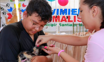 AN continúa apostando a la Ley del Trato Digno a los Animales