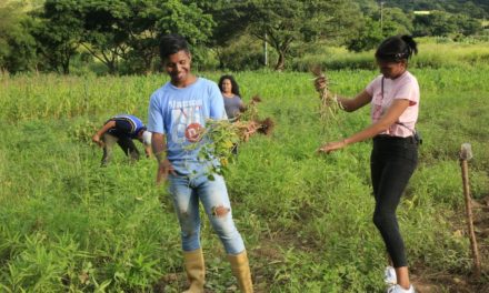 En la Comuna Paula Correa se promueve la producción agrícola y el turismo