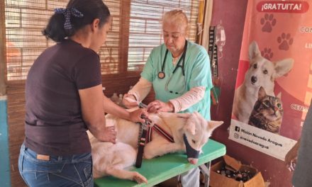 Más de 755 mascotas fueron favorecidas por la Misión Nevado en Aragua