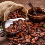 Productores de Ocumare de la Costa elevan propuestas para producción de cacao