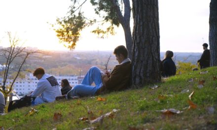 Espacios verdes favorecen la Salud Mental