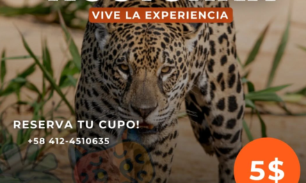 Zoológico de Las Delicias anunció nueva ruta nocturna