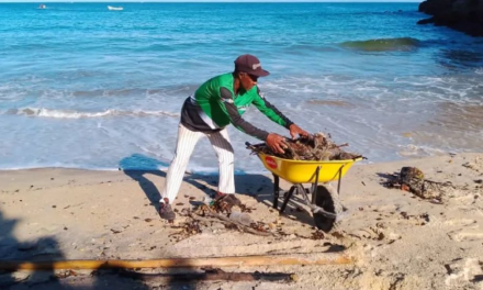 Serpumar realizó jornada de limpieza en costas de Mariño