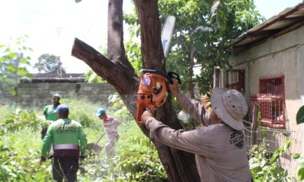 Atendidas afectaciones causadas por temporal en sector de Mariño