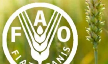 Amplió FAO cobertura de datos del empleo en sistemas agroalimentarios