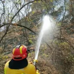 Incendios forestales en Ecuador han afectado más de 1.000 hectáreas