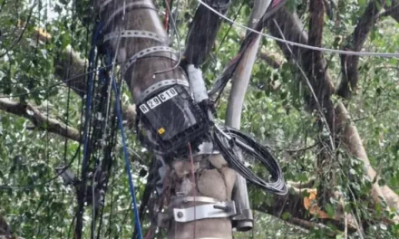 Registran más de 150.000 viviendas sin electricidad por lluvias en Sao Paulo, Brasil