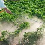 Fumigaciones con pesticidas dejó enfermos en el Campamento 8 de Marzo, Brasil