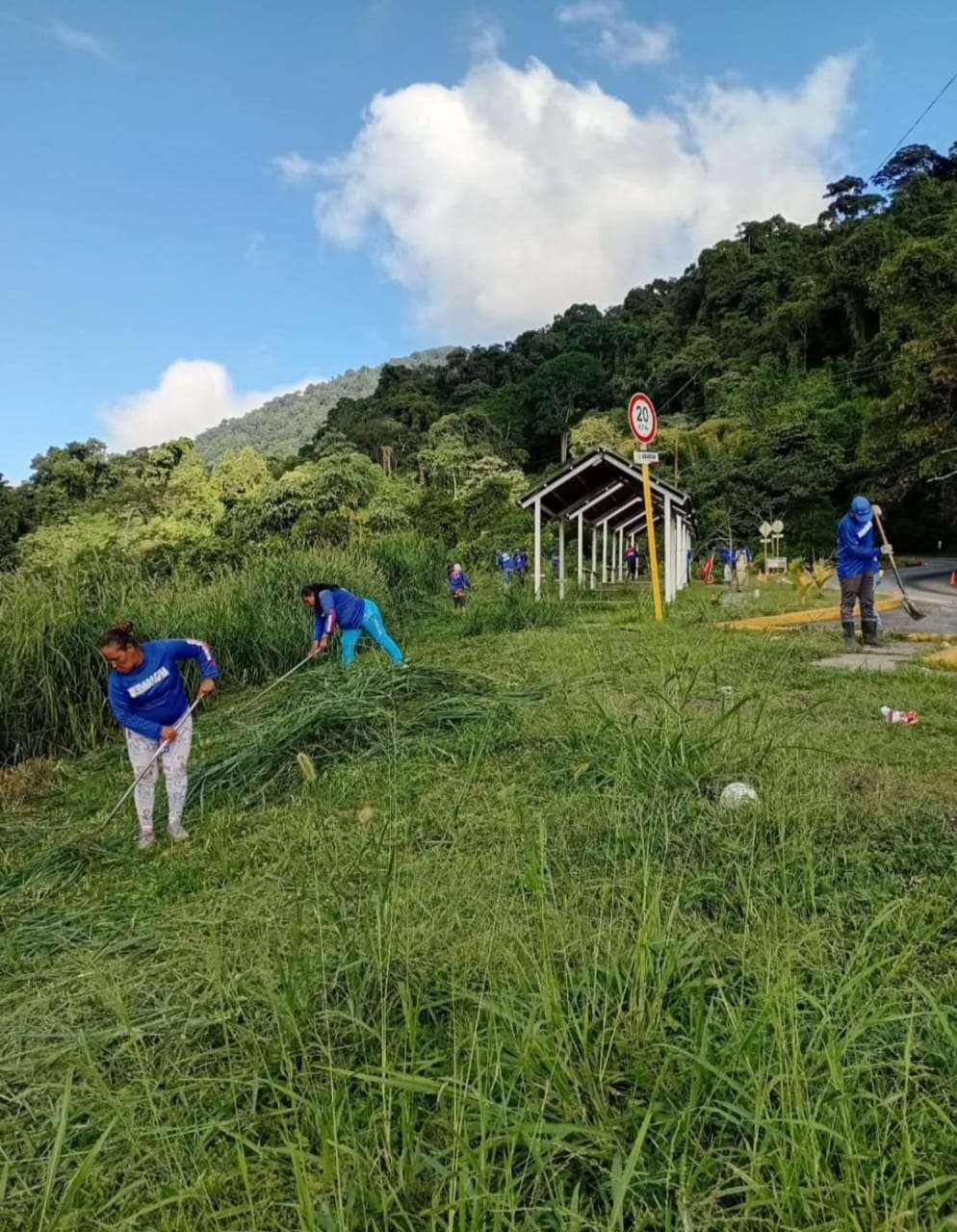 Jornada de saneamiento embelleció Mirador Turisco de  Ocumare de la Costa