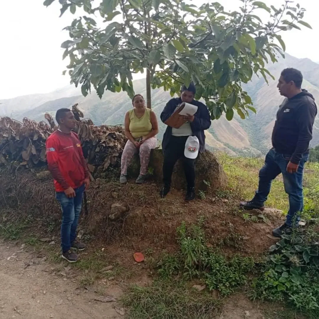 Fortalecen estructuras de siembra y producción en Tovar