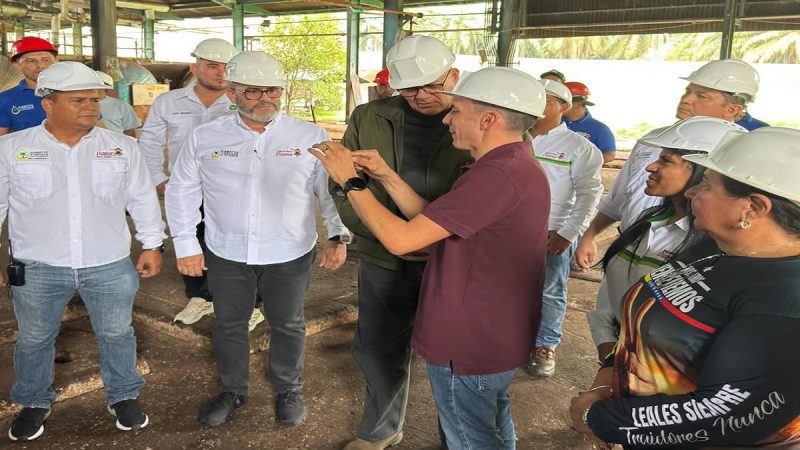 Palmeras Diana del Lago impulsa la producción estratégica de palma aceitera