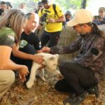 Ministro de Ecosocialismo supervisó instalaciones del Zoológico Las Delicias