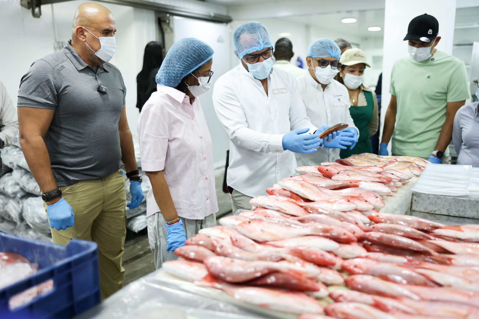 Presidenta (E)Delcy Rodríguez ratifica proyección de crecimiento del PIB para 2026