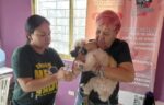 Misión Nevado intensifica despliegue de atención integral a mascotas de Aragua