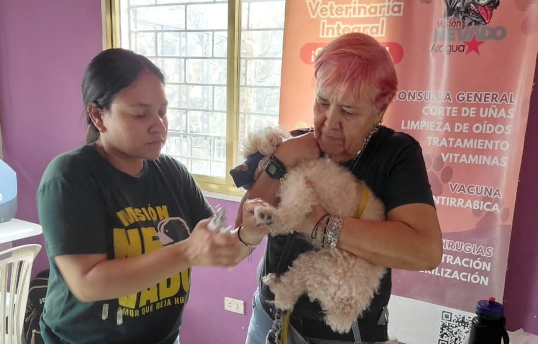 Misión Nevado intensifica despliegue de atención integral a mascotas de Aragua