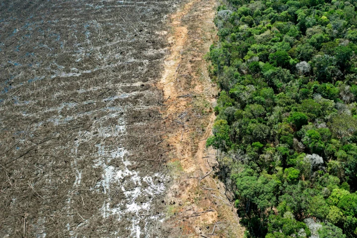 Diputados de Brasil aprueban proyecto que debilita la protección de la Amazonía