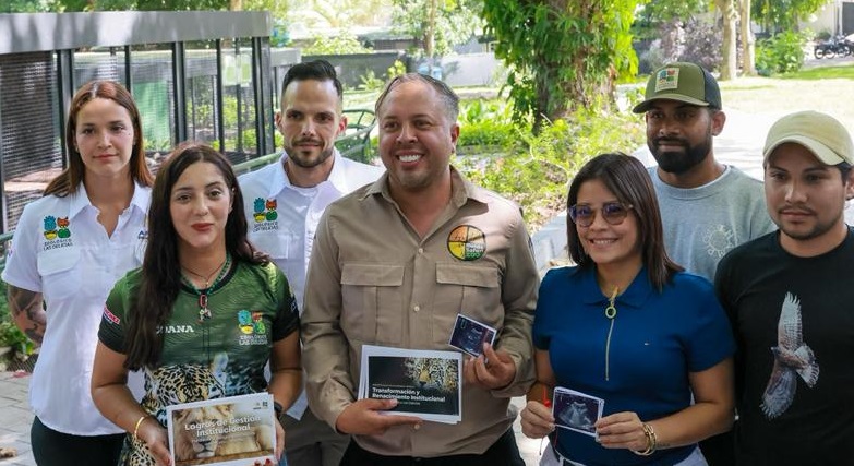 Evolucionan satisfactoriamente las nuevas crías de leones de Timbavati en Aragua