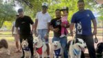 Parque Santos Michelena recibió el encuentro Team Husky Maracay