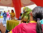Creada Unidad municipal de Gestión y Protección Animal en Ribas