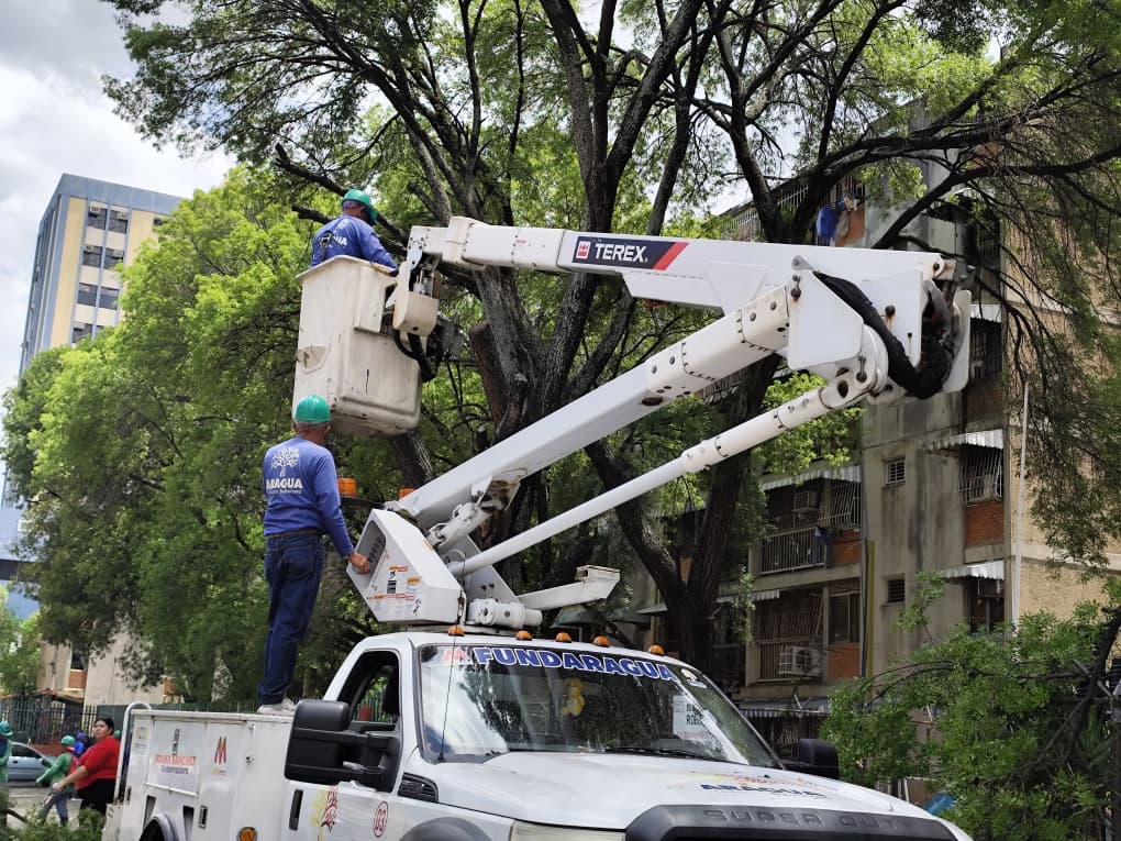 Urbanización Parque Aragua recibió jornada de tala y poda controlada