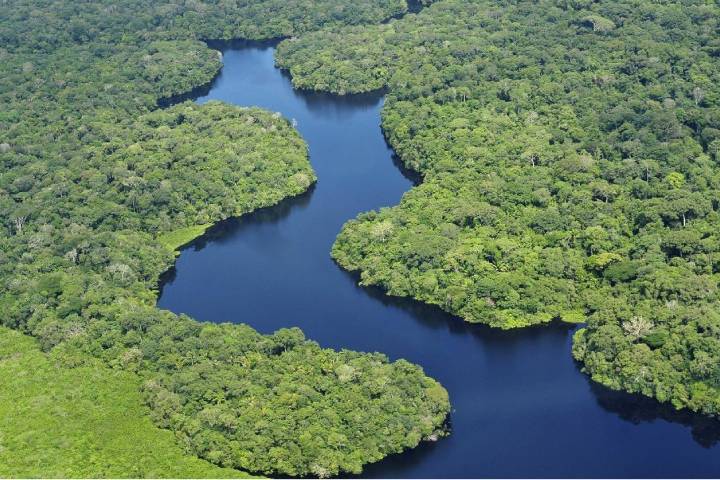 Amazonía brasileña recupera sus niveles de agua tras dos años de sequía