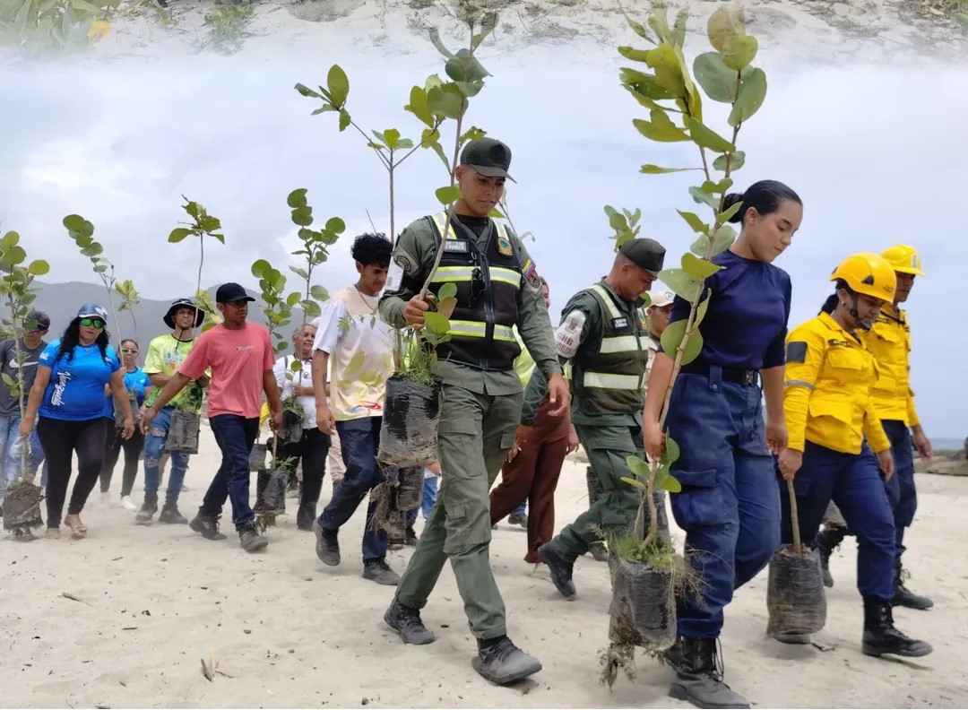 Reforestación fortalece equilibrio ecológico en Playa Los Cocos