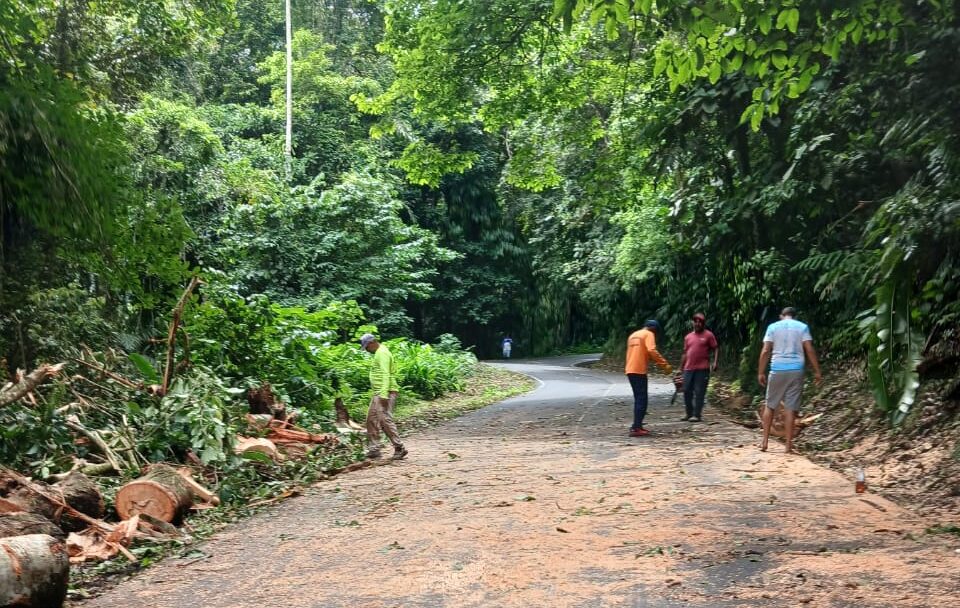 Despejada en su totalidad carretera El Limón – Ocumare de la Costa