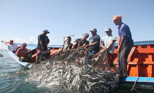 Pescadores de Nueva Esparta envían pescado para los afectados de La Guaira