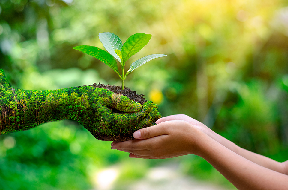 Política ambiental sigue siendo una prioridad del Estado cubano