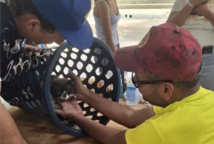 Consolidan la protección integral con exitosas jornadas veterinarias en Aragua